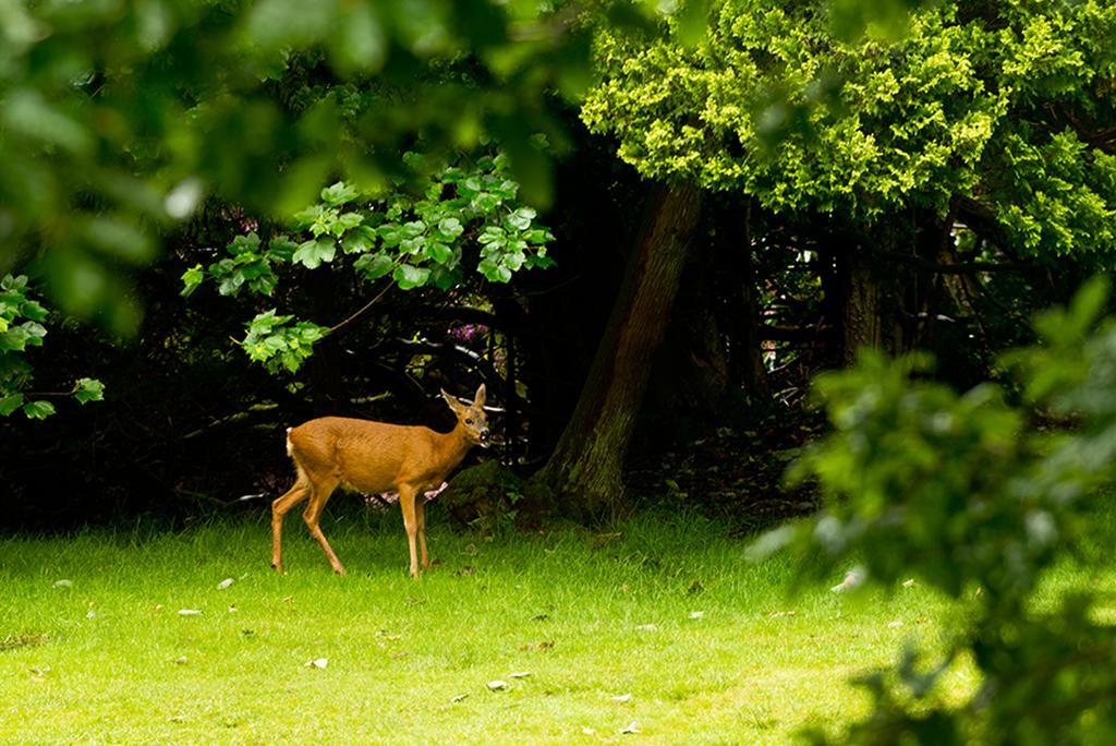 Yha Grasmere Butharlyp Howe Eksteriør bilde
